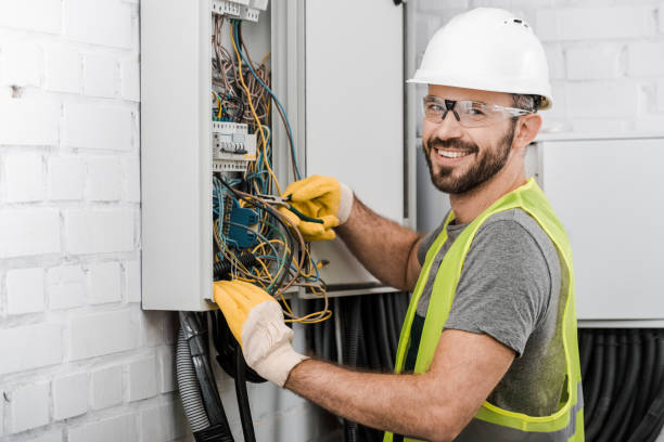 Best Electrical Repair Services  in Vienna, IL