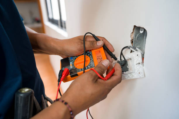 Best Licensed Electrician  in Vienna, IL