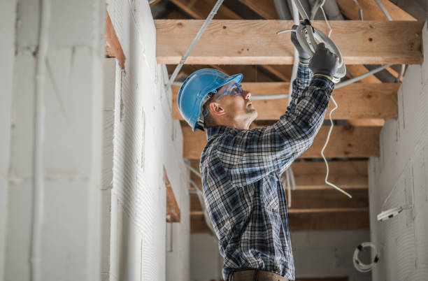 Best Electrical Upgrades for Homes  in Vienna, IL