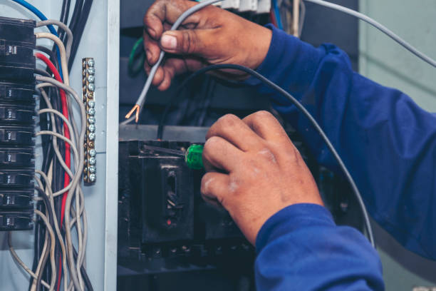 Best Home Electrical Repair  in Vienna, IL