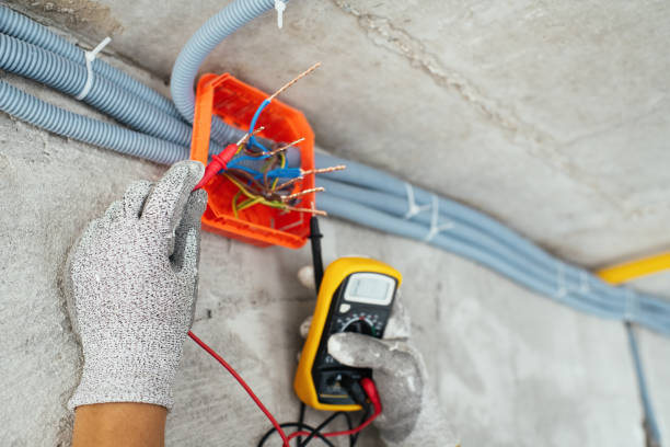 Best Electrical Upgrades for Homes  in Vienna, IL